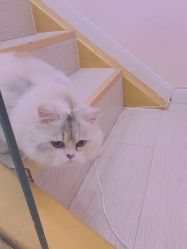 -Beauty Nails 美甲美睫皮肤管理