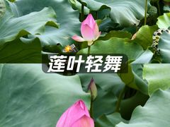 -晓港公园
