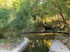 -庐山风景区花径公园
