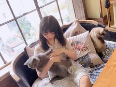 -more than meow吴止猫主题餐厅(承德 中船汇店)