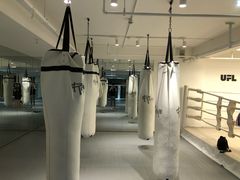 -EFL巴西柔术·综合格斗·泰拳·少儿体能训练(虹桥德必馆)