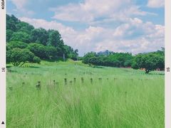 -红花山公园