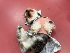 -和它·交个朋友·狗咖猫咖(爱琴海店)