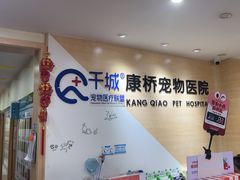 -千城康桥宠物医院·猫科·骨科·心脏