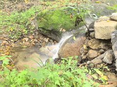 -大岭沟猕猴桃谷风景区
