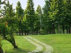 -黄海国家森林公园