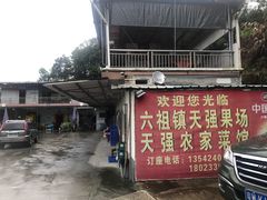 -天强农家菜馆