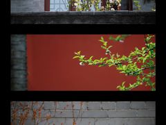 -西安市广仁寺