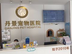 -丹景宠物医院·全科·老年病·牙科(武昌诊疗中心)