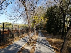 -北京麋鹿生态实验中心