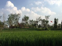 -武清南湖绿博园