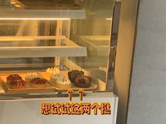 -猫里有甜