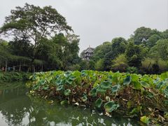 -成都杜甫草堂博物馆