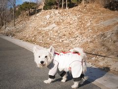 -白水寺森林公园