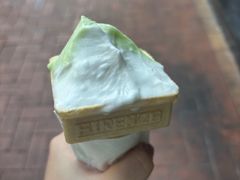 -柠檬车露(卖草地店)