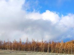 -富士山吉田線五合目