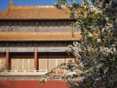 -故宫博物院(故宫)