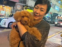 -新记车仔面