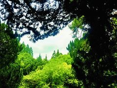 -叶家花园
