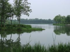 -东郊湿地公园