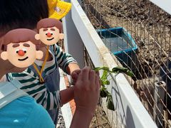 -菊园百果园
