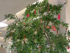 -Aqua Oasis 水天堂(太湖中心mall店)