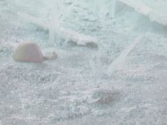 -佛山科学馆
