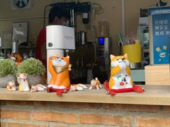 -柴犬高等学院·狗咖·柴犬售卖·宠物训练