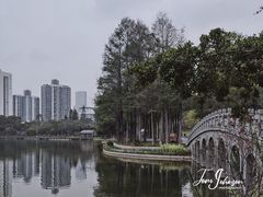 -四海公园(南山区)