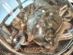 -海味当家·蒸锅海鲜(星海公园店)