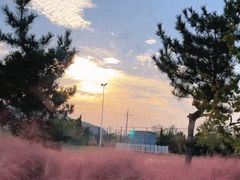 -羊亭河湿地公园