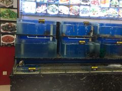 水产区-登瀛楼饭庄(领世郡店)
