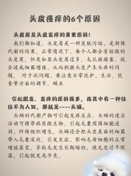 -Bollins波林丝•专研护发中心