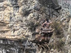 -鹿院坪生态旅游景区