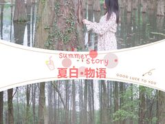 -东湖景区