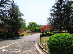 -铁山坪森林公园