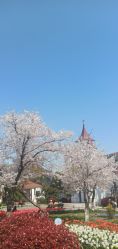-玄武湖景区-情侣园游乐场