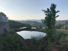 -桑洲油菜花景区