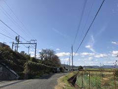 -岚山嵯峨野观光小火车