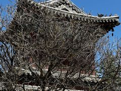 -五台山风景名胜区-罗睺寺