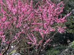-郑和公园