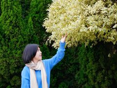 -南沙蒲洲花园
