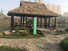 -前关湿地公园