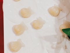 -清真军邺·金富苑肥牛(石坡街旗舰店)