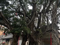 -烟桥古村
