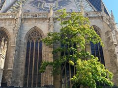 -斯蒂芬主教座堂(Stephansdom)
