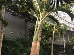 -北京植物园-展览温室