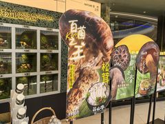 -芸山季·云南山珍菌火锅(南翔印象城MEGA店)