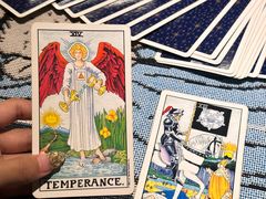 -雪灵魔法世界SHELLY’S TAROT(大良桂畔里店)