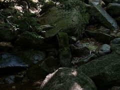 -王顺山国家森林公园